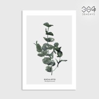 유칼립투스 그림 미니 포스터 엽서 카드 식물 인테리어 벽꾸미기