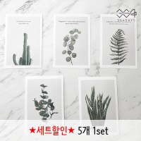 5개set 보테니컬 식물 그림 수채화 인테리어 미니 포스터 카드 액자