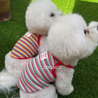 쥬비코 강아지옷 토마토 슬리브리스