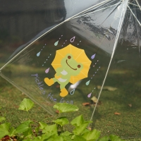 [피클스 더 프로그] 투명 장우산 (60cm)