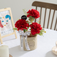 카네이션 조화 화분 포유 set 25cm 꽃 어버이날 스승의날