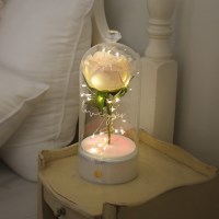 로즈 블랑돔 LED 무드등_충전식