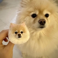 반려견 / 강아지 키링 주문제작