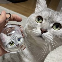 반려묘 / 고양이 키링 주문제작