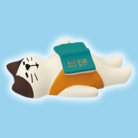 concombre 낮잠 독서 고양이