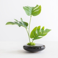 몬스테라 다육 조화 화분 그린 식물 책상 set 25cm 5타입 장식