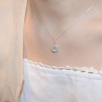 fleur de lin