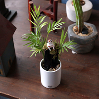 낚시하냥 스토리팟 DIY 키트 만들기 테라리움 수경화분