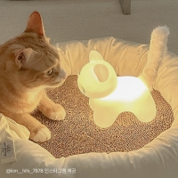 젤리냥이 무드등 고양이 무선 인테리어조명