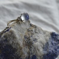 juliavi ii