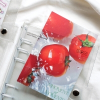 비온뒤 데코포켓 A6 6공바인더 PVC 커버