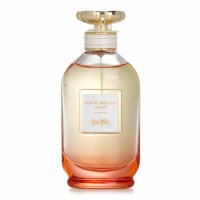 코치 드림스 썬셋 EDP 90ml 관세별도