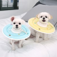[패리스독] 에스프아 스폰지넥카라