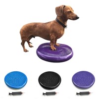 강아지 애견 짐볼 놀이 운동기구 슬개골운동 블루+에어펌프