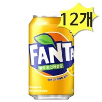 환타 파인애플 355ml x 12개