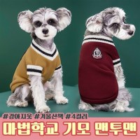 마법학교 강아지 기모 맨투맨  반려견 강아지 옷 겨울 산책옷