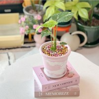 소장가치 있는 미니화분 핸드메이드 토분M 무늬 몬스테라