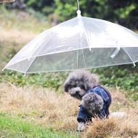 애견 비오는날 우비 우산 강아지 비옷 개우산 산책 용품 갓샵