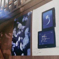 Jellyfish/Blue TV A3 포스터