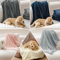 다용도 펫블랭킷 애견담요 마이펫 블랭킷 펫 담요 03 M 50x75 다크그