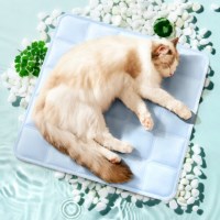 반려동물 쿨매트 냉감패드 쿨방석 강아지 고양이 TS 240818