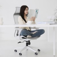 린백 컴퓨터 사무실 책상 공부 학생 허리 편한 풀메쉬 의자 LB834H