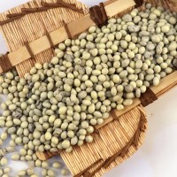 아우레이트 건포도요거트초코 1kg
