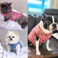 S-3XL사이즈 애견 할머니 김장조끼