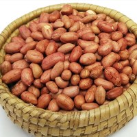 GAP인증 경북 예천 볶음땅콩 400g/2024년산