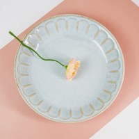 후루토 카레접시