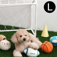 패리스독 캔버스 스포츠볼 토이 L 랜덤1개 강아지 장난감