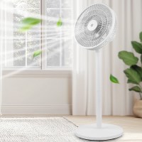 [NT] 엔티 15엽 팬큘레이터 NTEF-2803