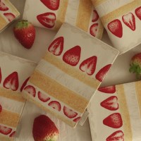 Passport Wallet - Shortcake