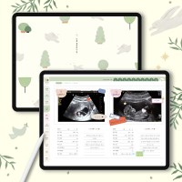 즉시발송 아이코닉 너를생각하는맘 임신다이어리 굿노트속지 PDF