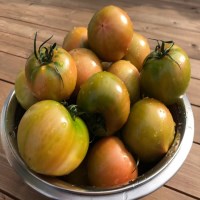 대저 짭짤이 토마토 특품 (3S과) 2.5kg