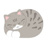 [버숨] 잠자는 고양이 마우스 패드_홍시