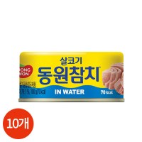 동원 참치 인 워터 100g x 10개