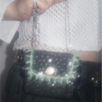 pisces mini chain bag