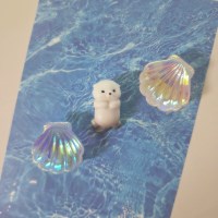 해달과 조개  마그넷 세트 / 자석