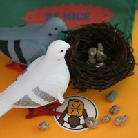 킹받는 애완 비둘기 인형 세트