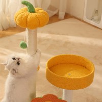 캣냐옹 플라워 펌킨 스크래쳐 고양이 발톱관리 장난감 캣 용품