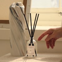 1+1 데일리콤마 크리스탈 에디션 디퓨저 100ml