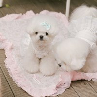플라워 레이스 강아지 블랭킷 매트