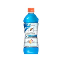롯데 게토레이 블루볼트 600ml 48개