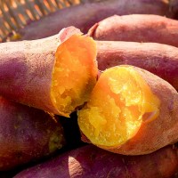 해남 무농약 세척 꿀고구마  5kg 중