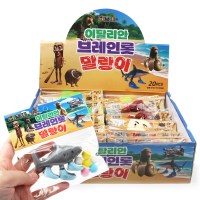 이탈리안 브레인롯 말랑이 촉감놀이 장난감 20개 세트