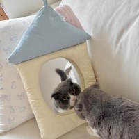 드로우데이 쿠션 거울