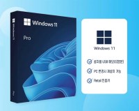 영문 MS 윈도우11 프로 FPP 리테일키 처음사용자용 USB