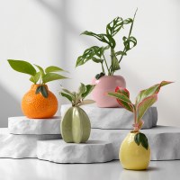 DIY 수경재배 10종 과일 화병 프루츠 꽃병 장식 인테리어 세라믹