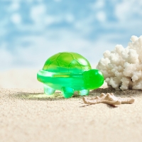 동구밭 배러댄서프 바다의 친구들 거북